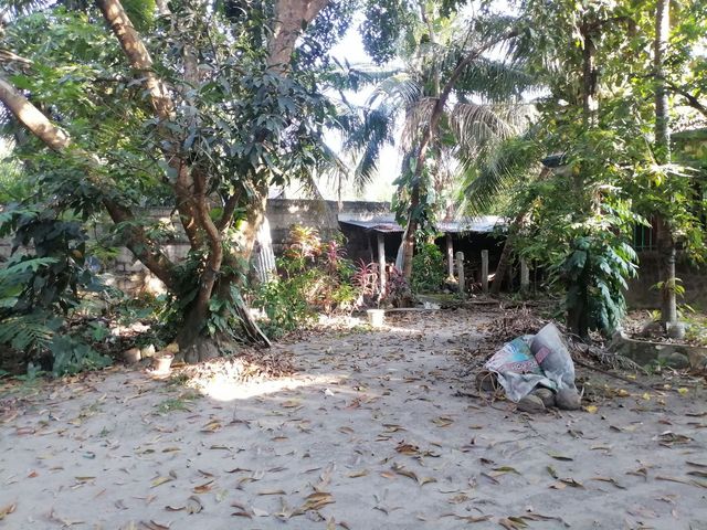 place photo 36