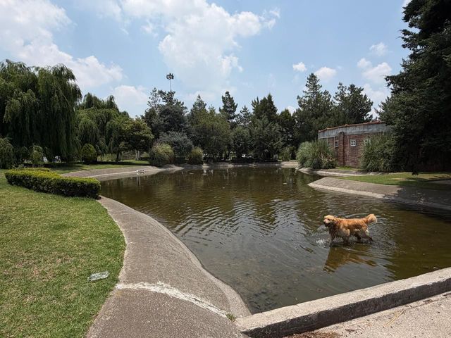 place photo 12