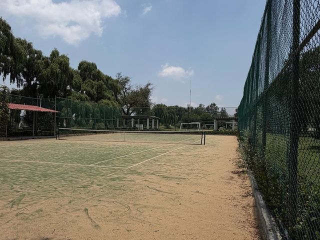 place photo 14