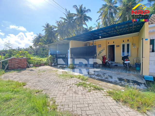 place photo 3