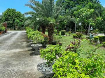 place photo 28
