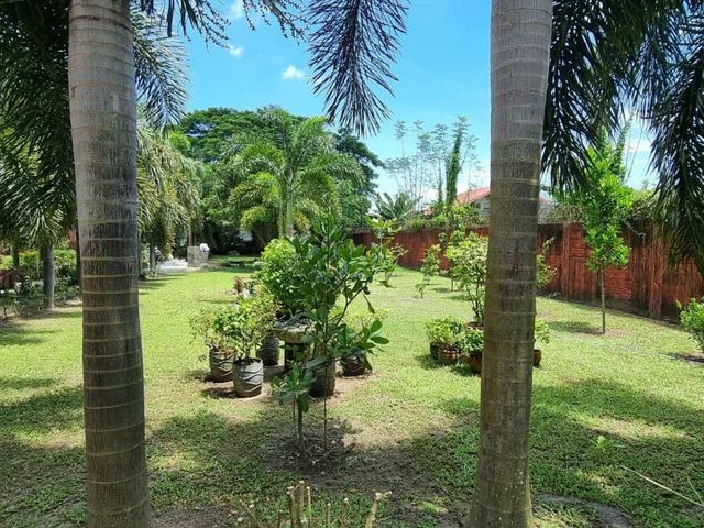 place photo 35