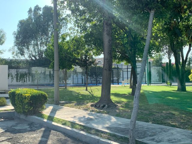 place photo 43
