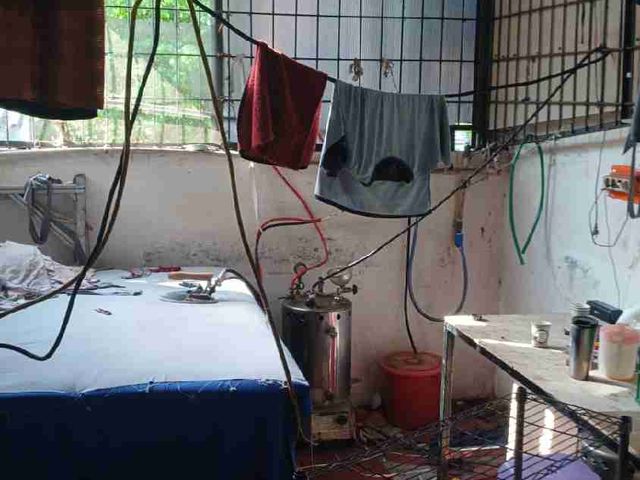 place photo 17
