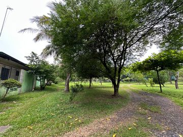 place photo 24