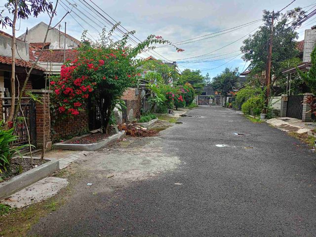 place photo 11