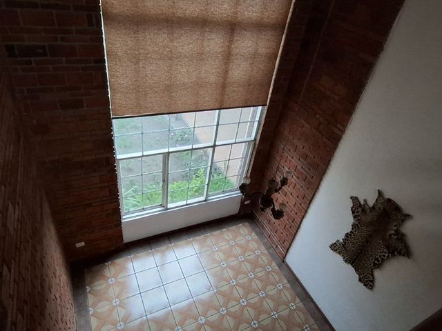 place photo 62