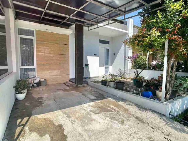 place photo 26