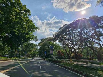 place photo 39