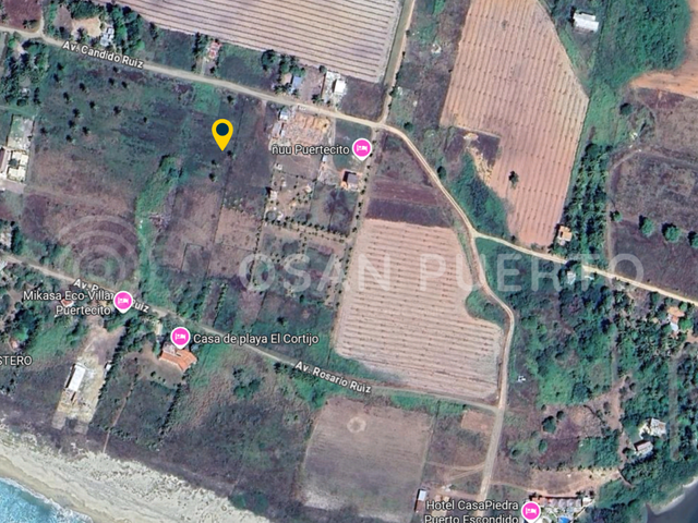 place photo 11