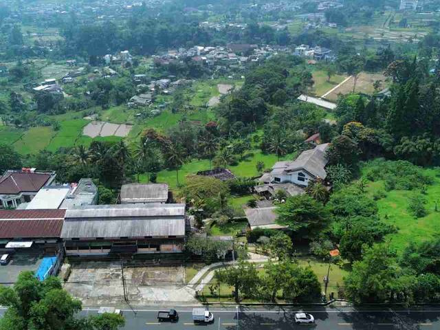place photo 19