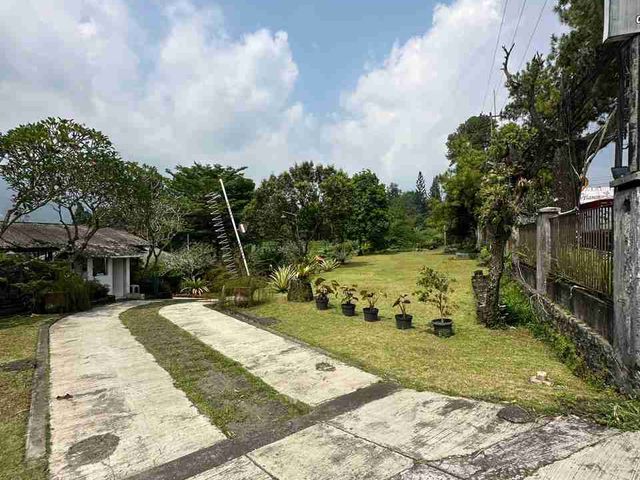 place photo 18