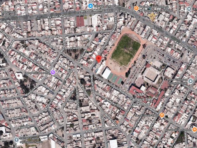 place photo 10