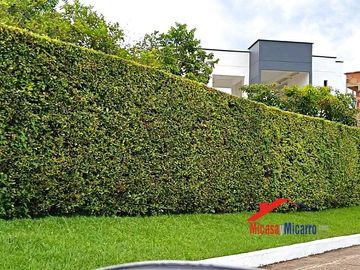 place photo 43