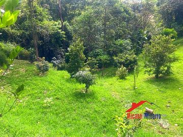 place photo 57