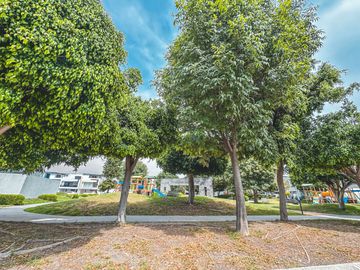 place photo 53