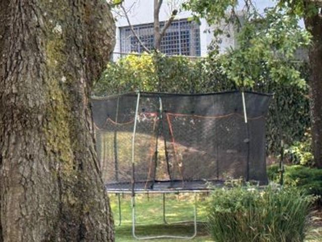 place photo 38