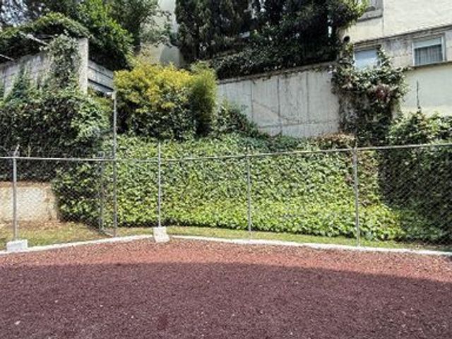 place photo 35