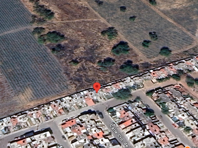 place photo 18