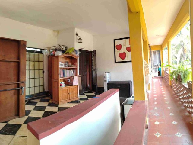 place photo 50