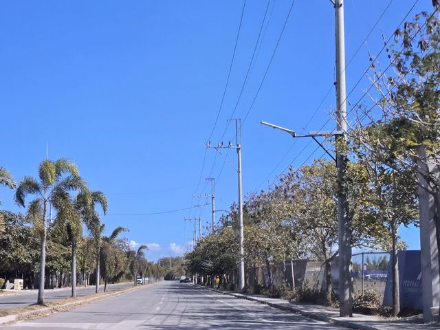 place photo 17