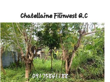 Premium 142-sqm Residential Lot for Sale in Filinvest, Batasan, Quezon City: Best Offer of the Month
