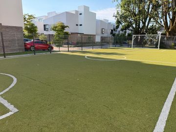place photo 26