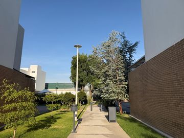 place photo 37