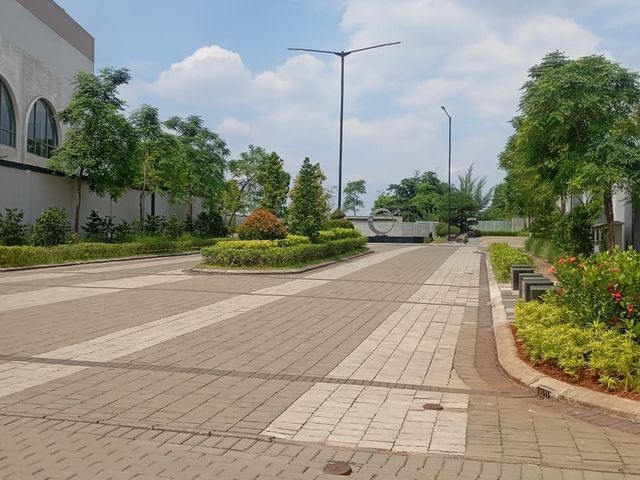 place photo 16