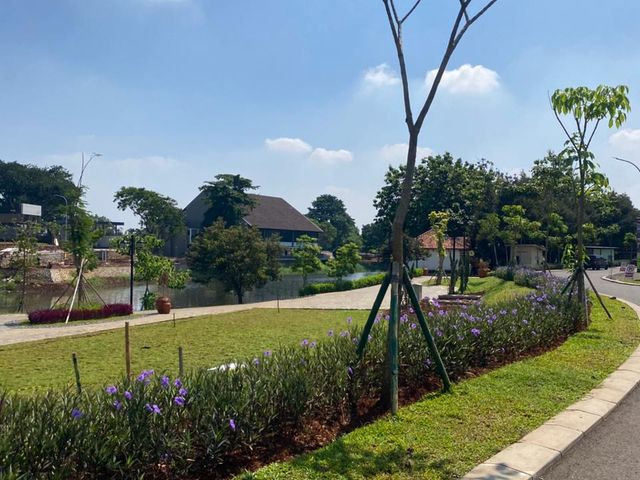 place photo 18