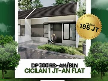 place photo 30