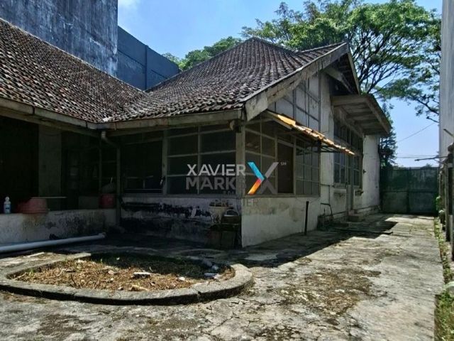 place photo 14