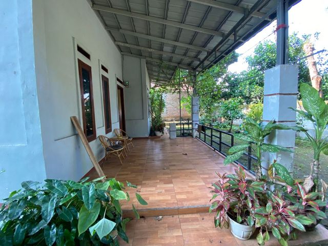 place photo 14