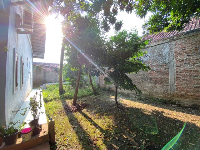 place photo 15