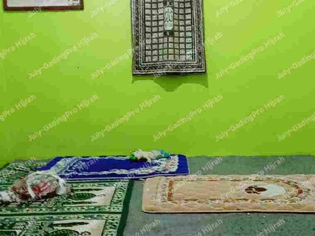 place photo 11