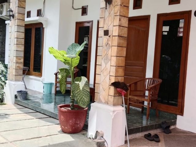 place photo 5