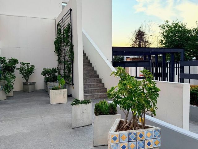 place photo 37