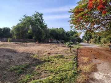 place photo 5