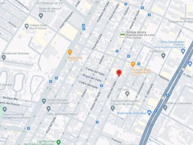 place photo 6