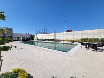 place photo 23