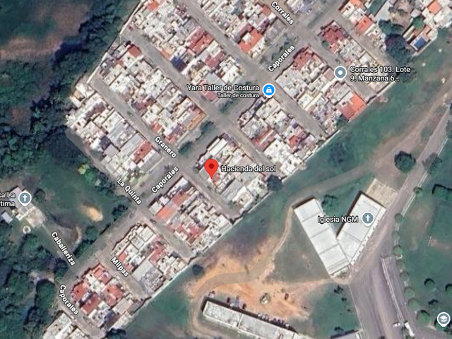 place photo 7