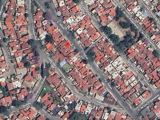 place photo 14