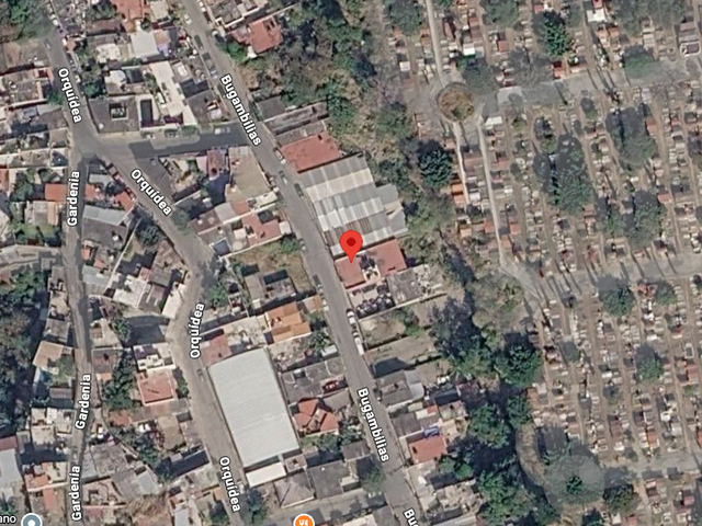 place photo 13