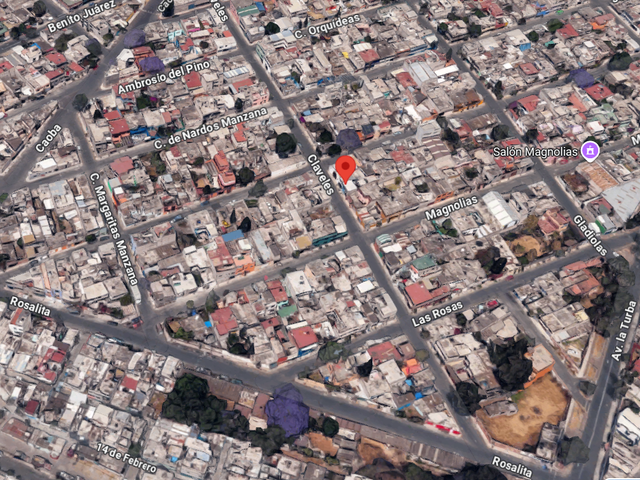 place photo 8