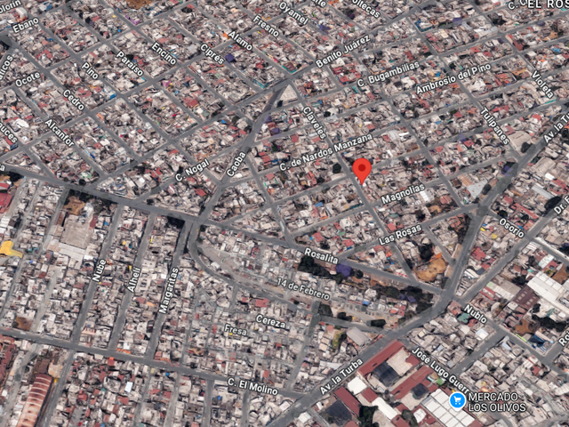place photo 9
