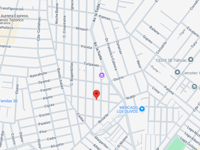 place photo 10
