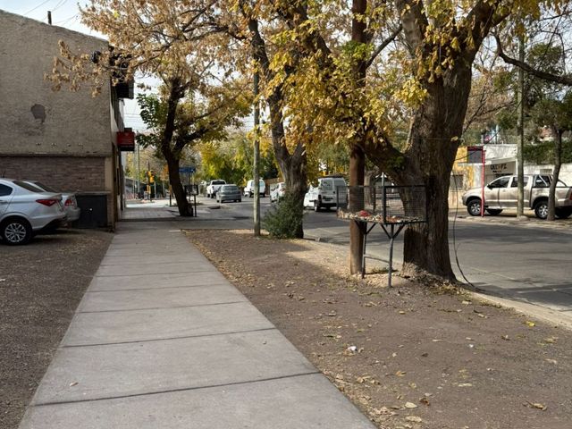 place photo 18