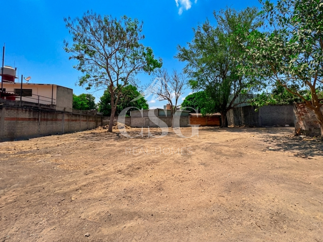 place photo 7