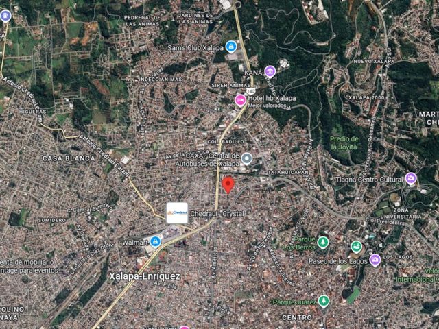 place photo 7