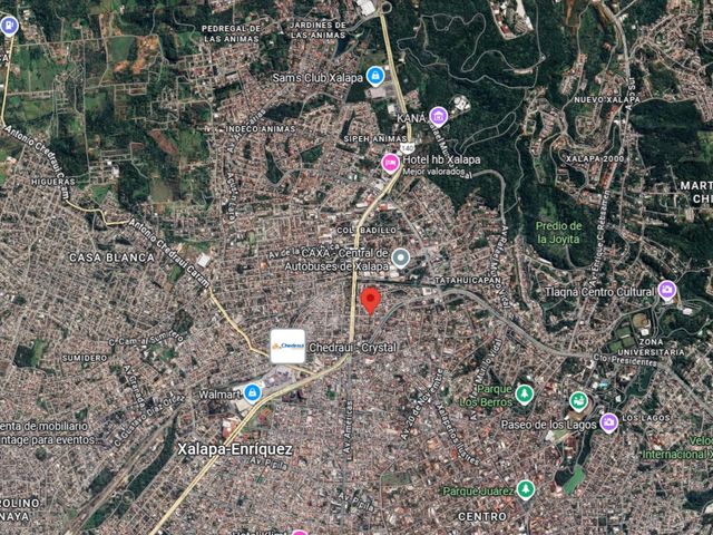place photo 7